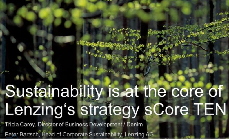 lenzing sustainability webinar