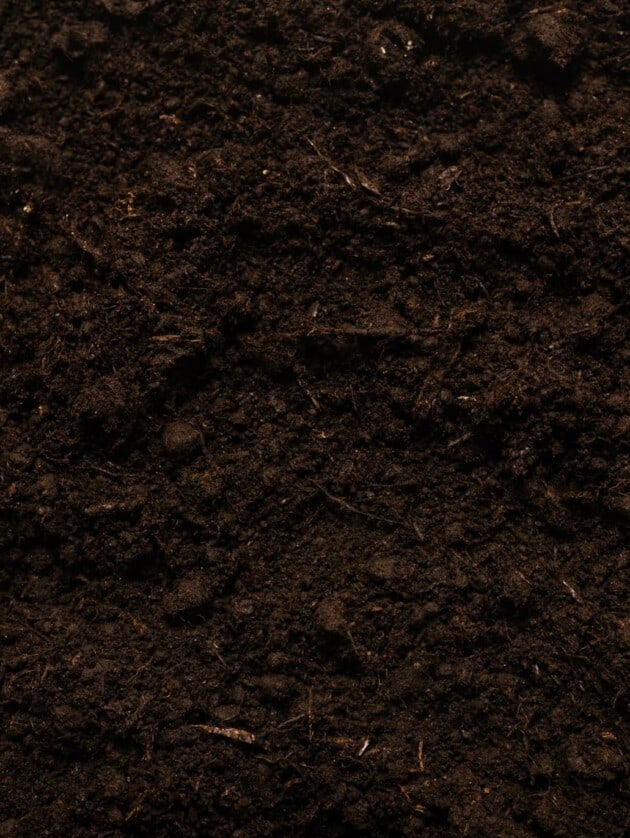 soil.