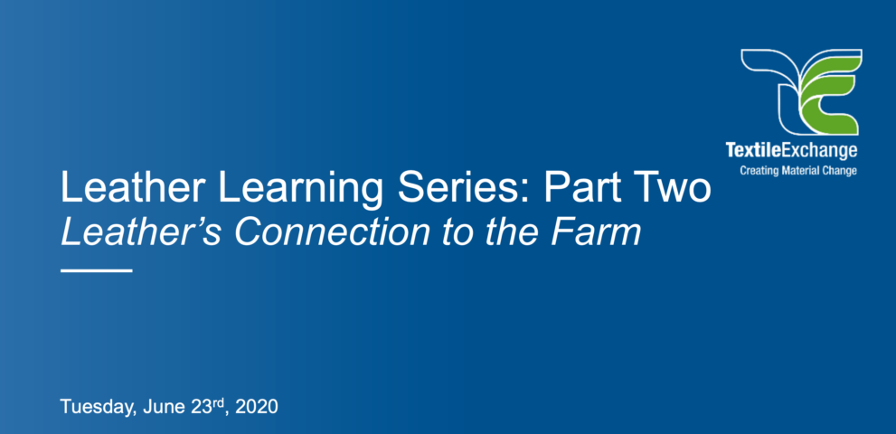 Leather Learning Series Part 2